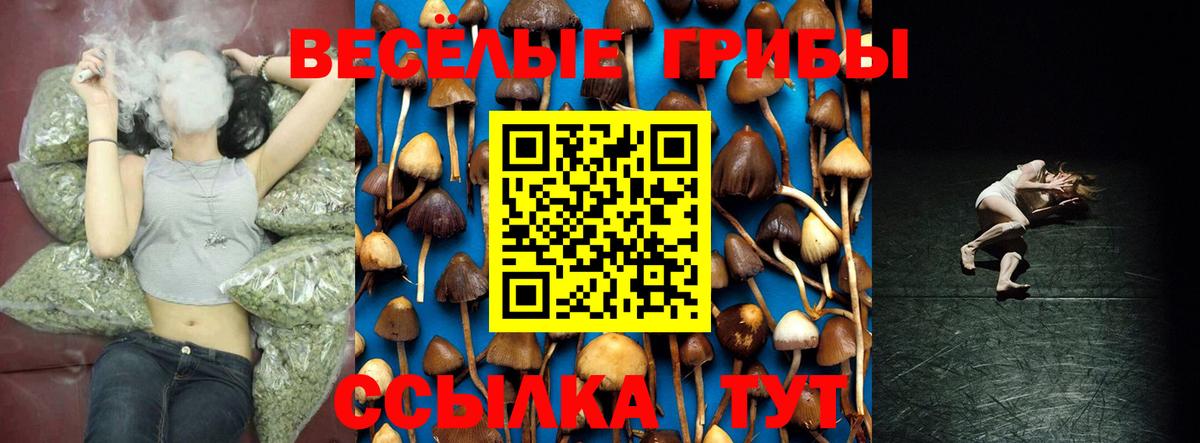 Галлюциногенные грибы мухоморы Нижний Тагил